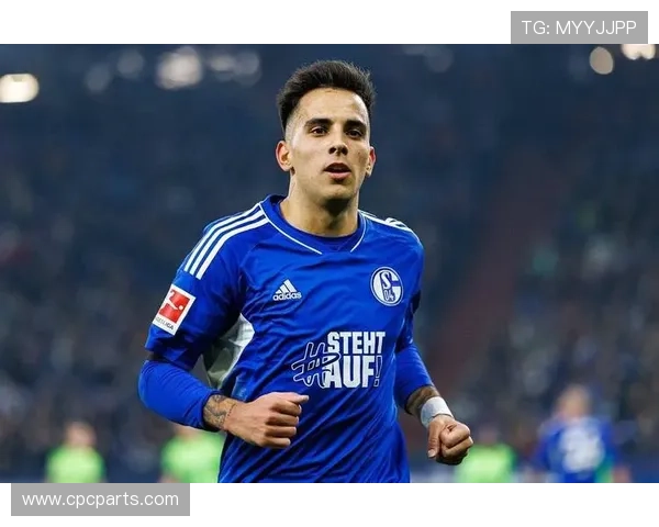 沙尔克关键球员