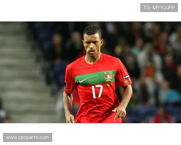 达尼洛多位置价值