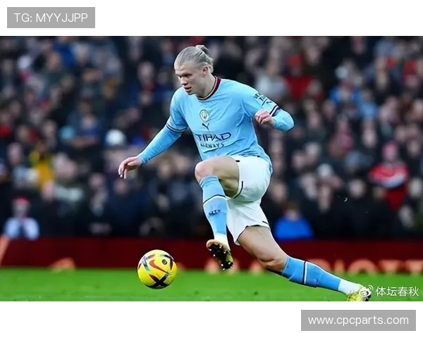 哈兰德商业价值提升